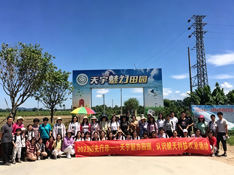 2017阳光行动